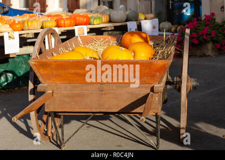 Différentes variétés de courges et citrouilles dans un wagon en bois. Collection automne Banque D'Images