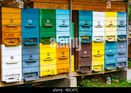 De nombreuses boîtes de ruche en bois colorés empilés dans la forêt près de Bled, en Haute-carniole, Slovénie Banque D'Images