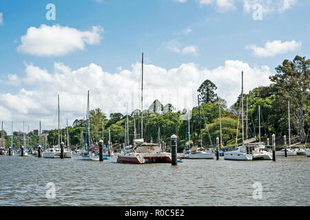 Pile moorings, ville des jardins botaniques, de Brisbane, Australie. Banque D'Images