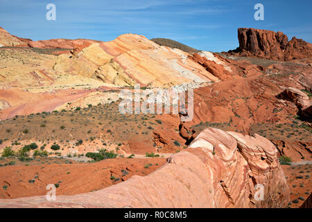 NV00108-00...NEVADA - couches de grès colorés trouvés dans le parc national de la Vallée de Feu. Banque D'Images