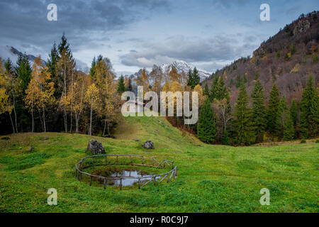 Ferme avec étang et arbres en automne meadow Banque D'Images