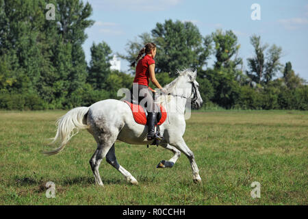 Formation équestre de la sportive à cheval Banque D'Images