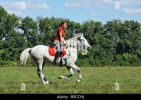 Formation équestre de la sportive à cheval Banque D'Images