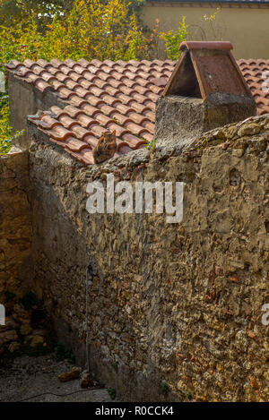 Un curieux chat sur le toit du village médiéval de Guardistallo en Toscane - 2 Banque D'Images