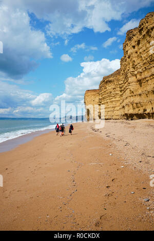 La Côte Jurassique, Burton Bradstock, Dorset, England, UK. Banque D'Images