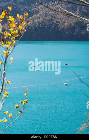 Vue sur le lac de couleur turquoise « Alpsee » avec bateaux à pédales sur le lac lors d'une chaude journée ensoleillée en automne. Hohenschwangau, Füssen, Bavière, Allemagne Banque D'Images