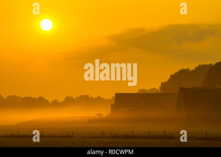 Lever de soleil sur l'orange misty ferme avec granges et tracteur de Twente, Pays-Bas Banque D'Images