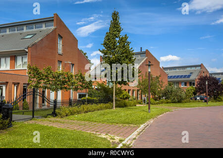 Rue avec de grandes maisons familiales maisons avec jardin dans une banlieue de la ville de Wageningen, Pays-Bas Banque D'Images