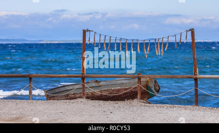 Bras de mer poulpe séchant au soleil sur l'île de Lesbos, Grèce Banque D'Images