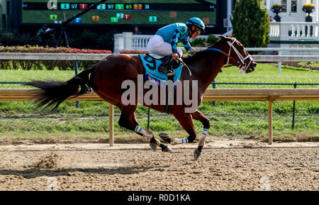 Louisville, Kentucky, USA. 29Th sep 2018. 3 novembre 2018 : le Breeders Cup Championnats du monde samedi à Churchill Downs le 3 novembre 2018 à Louisville, Kentucky. Bill Denver /Eclipse Sportswire/CSM/Alamy Live News Banque D'Images