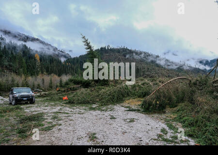 Belluno, Italie. Novembre 03, 2018. Une vue de la zone touchée par l'inondation au Val Visdende Belluno, Italie. © Stefano Mazzola / éveil / Alamy Live News Banque D'Images