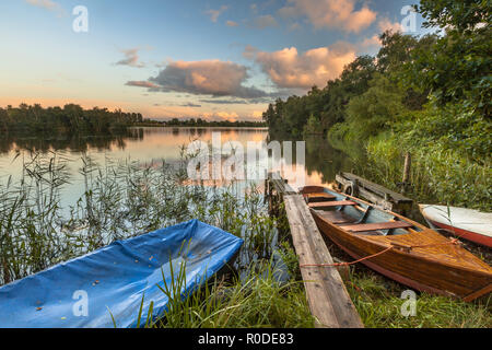 Les barques dans les roseaux sur la rive du lac pendant un été magnifique coucher du soleil Banque D'Images