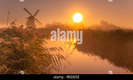 Dans un moulin historique typique des zones humides sur un polder de couleur cool septembre Matin brumeux aux Pays-Bas Banque D'Images