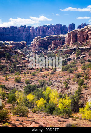 Les aiguilles à Canyonlands National Park, en Utah. Banque D'Images