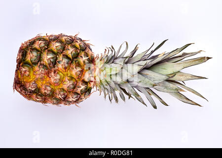 L'ananas mûr entier sur fond clair. Banque D'Images