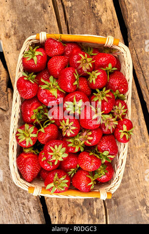 Panier plein de fraises en bonne santé, vue d'en haut. Banque D'Images