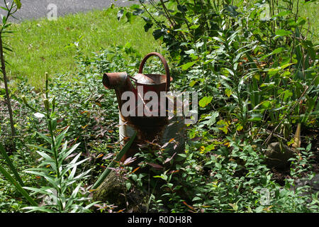 Photo de vieux arrosoir rouillée dans un lit de fleur. Banque D'Images