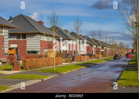 Maisons familiales le long d'une rue de banlieue avec l'herbe arbres et haies en hiver, Groningen, Pays-Bas Banque D'Images