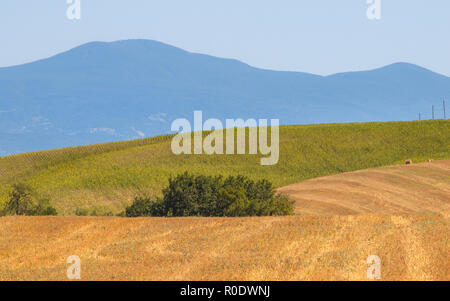 Abstract Toscane Paysage sur une claire journée d'été, Italie Banque D'Images