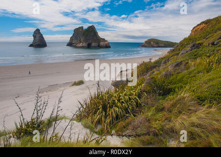 L'herbe et la végétation arbustive Wharariki Beach Banque D'Images