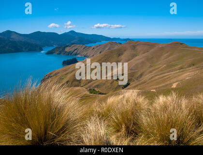 Vue sur la French Pass, Marlborough Sounds Banque D'Images