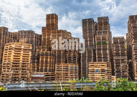 Des piles de palettes en bois Euro à un centre de recyclage Banque D'Images