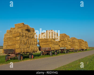 Rangée de chariots à foin le long d'une route de campagne ensoleillée pour le transport d'attente Banque D'Images