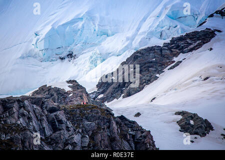 Un abri pour les alpinistes perché sur une falaise à proximité d'un glacier sur un côté de la montagne, le Parc National du Mt Cook, Nouvelle-Zélande Banque D'Images