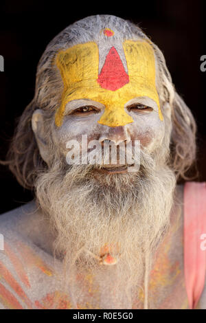 Katmandou, Népal, 04 novembre 2010 : saint homme hindou sadhu portrait au temple de Pashupatinath, Népal. Banque D'Images