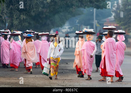 BAGAN, Myanmar, le 25 janvier 2015 : Une rangée de nonnes bouddhistes plaques transportant sur la tête pour matin alms marche dans les rues de Bagan au Myanmar (Burm Banque D'Images