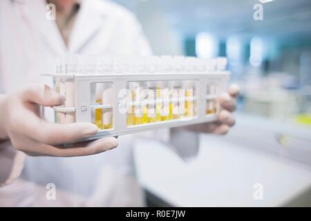Assistant de laboratoire médical holding des échantillons en rack. Banque D'Images
