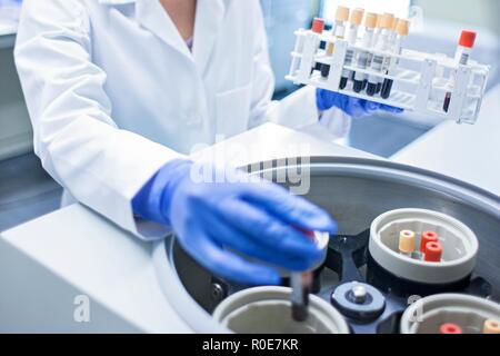 Assistant de laboratoire à l'aide de centrifugeuses. Banque D'Images