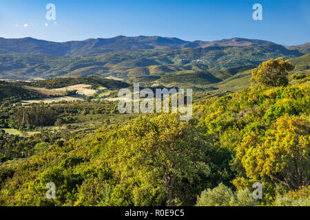 Vue du Nebbio (région de la vallée de la rivière Aliso), près de Saint-Florent, département Haute-Corse, Corse, France Banque D'Images