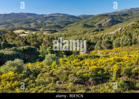 Vue du Nebbio (région de la vallée de la rivière Aliso), près de Saint-Florent, département Haute-Corse, Corse, France Banque D'Images