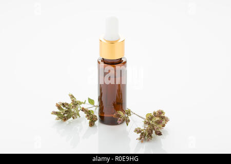 L'huile essentielle d'origan avec compte-gouttes. Origanum vulgare Banque D'Images