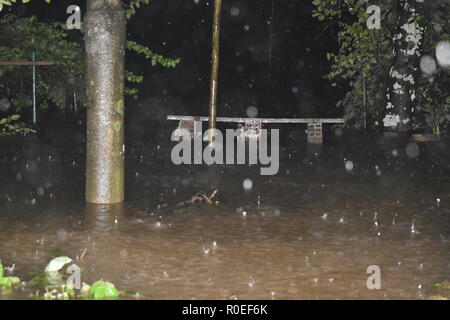 La pluie lourde et inondé Kerala Banque D'Images