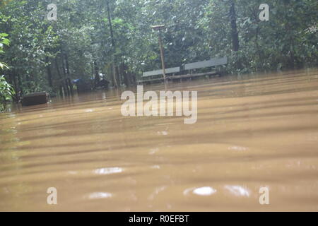 La pluie lourde et inondé Kerala Banque D'Images