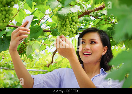 Belle jeune femme asiatique en tenant à elle-même, photographiant des selfies grape ferme comme un haut lieu touristique, raisin, plantation winery dans Sabah Malaisie Bornéo. Banque D'Images