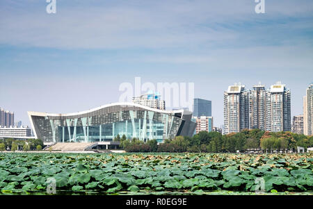 WUHAN Hubei, Chine/ - OCT 04, 2018 : fleurs de lotus pond devant le bâtiment moderne. Ce domaine est l'un des célèbre parc à Wuhan. Banque D'Images