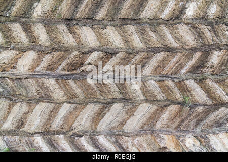 Détail de gazon islandais traditionnels maisons de Glaumbaer folk Heritage Museum, de l'Islande. Gazon de mur de briques. Banque D'Images