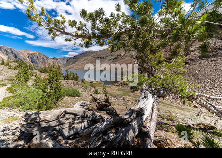 Beau paysage de montagne à la recherche de retour sur le lac Sacoche le long du sentier de randonnée de 20 lacs dans les montagnes de la Sierra Nevada en Californie Banque D'Images