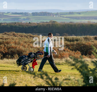 Aberlady nature reserve, East Lothian, Ecosse, Royaume-Uni, 4 novembre 2018. Météo France : chaude journée ensoleillée sur golf links un golfeur marche avec chariot de golf sur le parcours de golf Gullane Banque D'Images