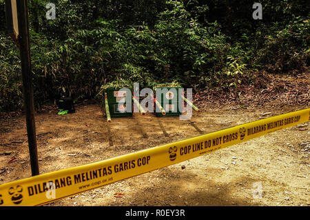 3 novembre 2018 - Lesan River Forêt protégée, à l'Est de Kalimantan, Indonésie - avec deux cages sur un primat de l'orang-outan se trouvant sur place où ils seront relâchés dans la nature dans la forêt protégée de la rivière Lesan, East Kalimantan, Indonésie. Ces deux orang-outans (Pongo pygmaeus morio), Novi et Leci, sont le résultat de l'abandon de la communauté à l'Est de Kalimantan centre de conservation des ressources naturelles en 2014 et 2016 dans la région de Tenggarong, où ils ont été relâchés dans leur habitat naturel après des années de rééducation d'un traumatisme souvent causés par les gens. Il y a actuellement 57,300 Banque D'Images