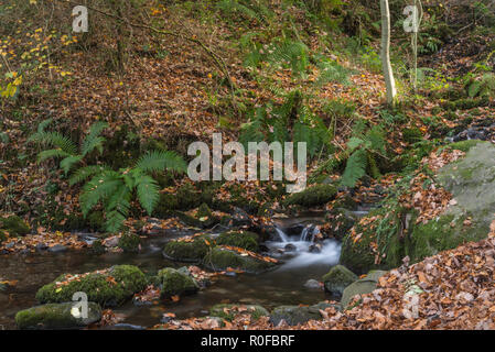 Une longue exposition d'un petit ruisseau qui s'écoule dans un ravin près de Windermere dans le Lake District National Park en automne avec les feuilles mortes. Banque D'Images