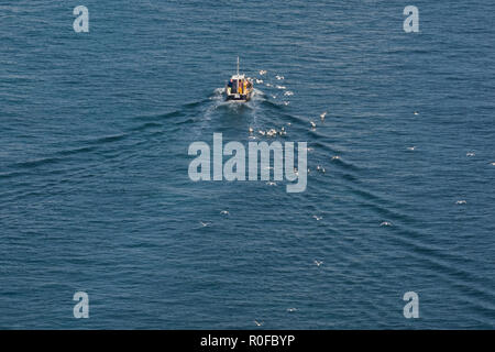 Un petit bateau de pêche côtière ou d'un bateau entouré par les goélands et la création d'une mer calme. et laver des petits chalutier de pêche. Banque D'Images