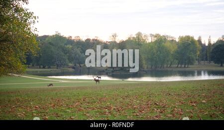 L''Abbaye de Woburn sol et jardins, Bedford, Angleterre Banque D'Images