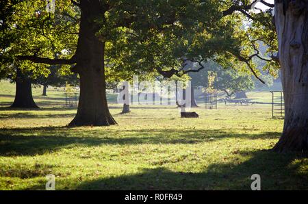 L''Abbaye de Woburn sol et jardins, Bedford, Angleterre Banque D'Images