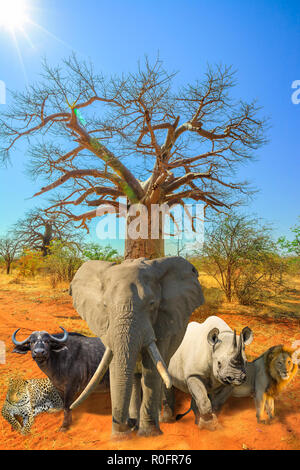 Baobab africain avec cinq grandes collage : le léopard, le buffle, l'éléphant, rhinocéros noir et Lion dans paysage de savane. Scène safari en Afrique avec des animaux sauvages. Ciel bleu. Tir vertical. Saison sèche. Banque D'Images