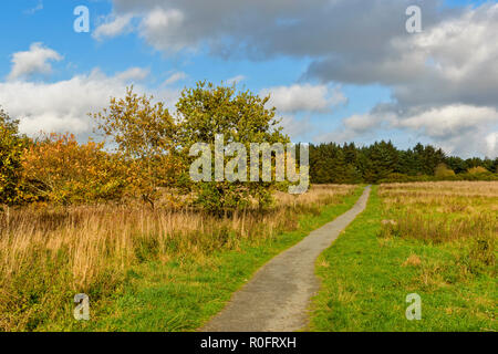 SCOTSTOWN MOOR RÉSERVE NATURELLE LOCALE VILLE ABERDEEN SCOTLAND PREMIÈRES ÉTAPES LE LONG SENTIER DEPUIS LE PARKING Banque D'Images