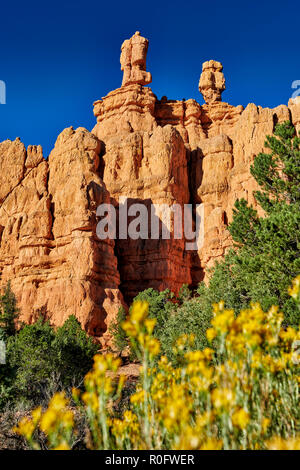 Red Canyon dans Dixie National Forest, Utah, USA, Amérique du Nord Banque D'Images